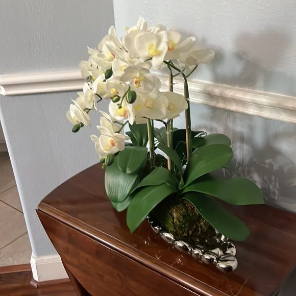 White orchid with silver vase